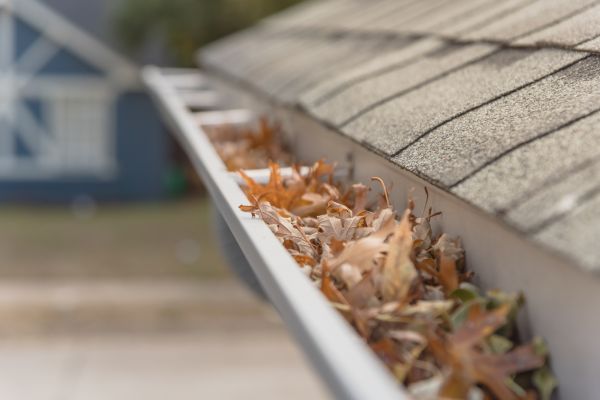 Leaf Barrier Installation in Newton